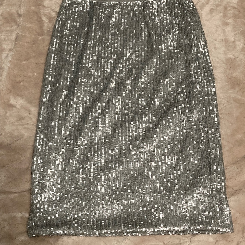 Ann Taylor Petite XXSP Silver Sequin Skirt